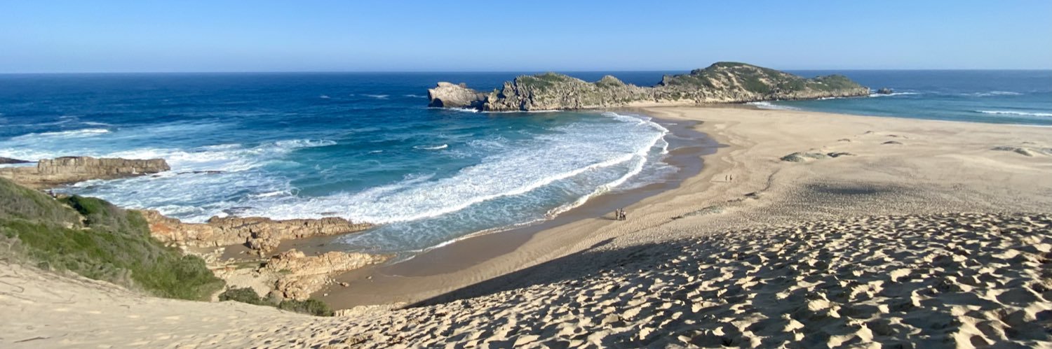 Dimitri GM Stefas banner