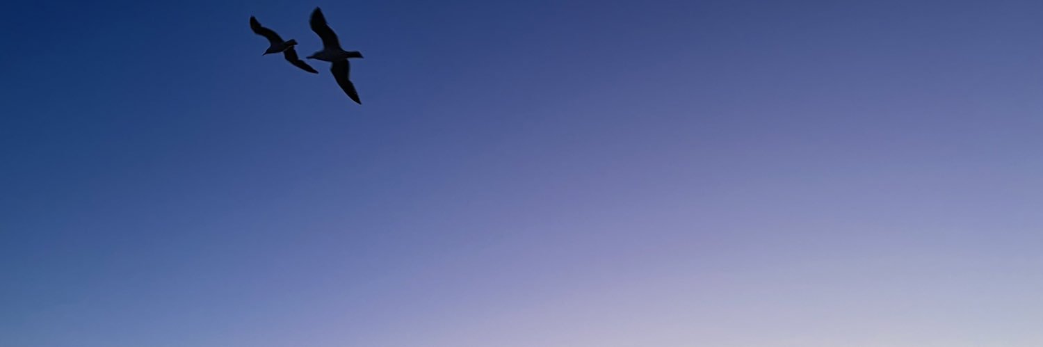 wiIIieb's profile banner image
