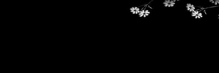 aeziecla's profile banner image