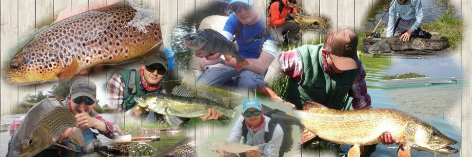 incompangler's profile banner image
