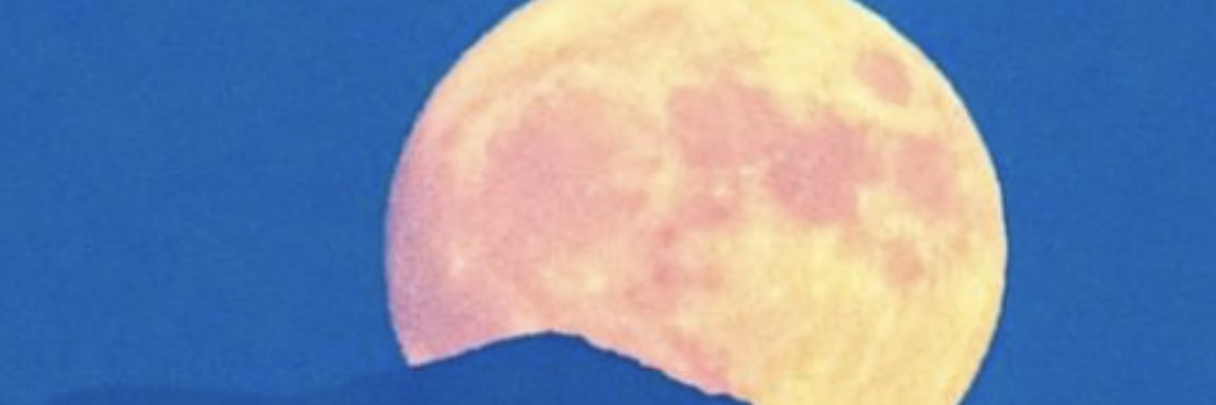 Flying to the Moon banner