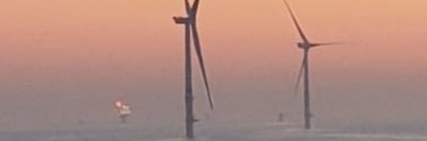 Miguel de Schaetzen banner