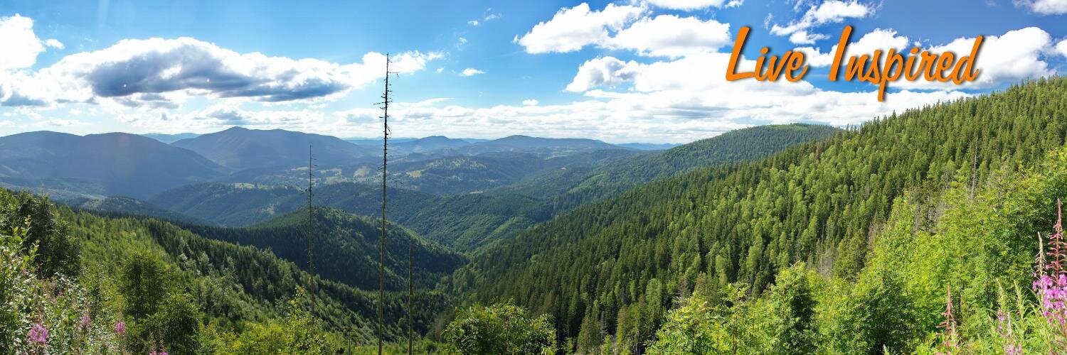rseruy's profile banner image