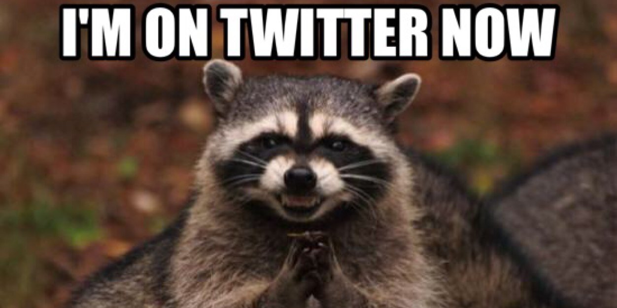 RecRaccoon's profile banner image