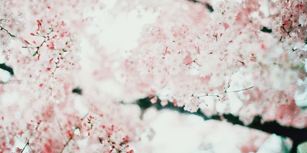 wxalezx's profile banner image