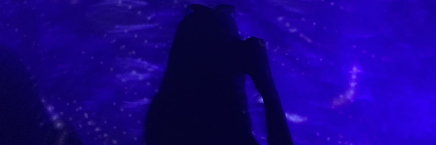 MonElizabeth__'s profile banner image