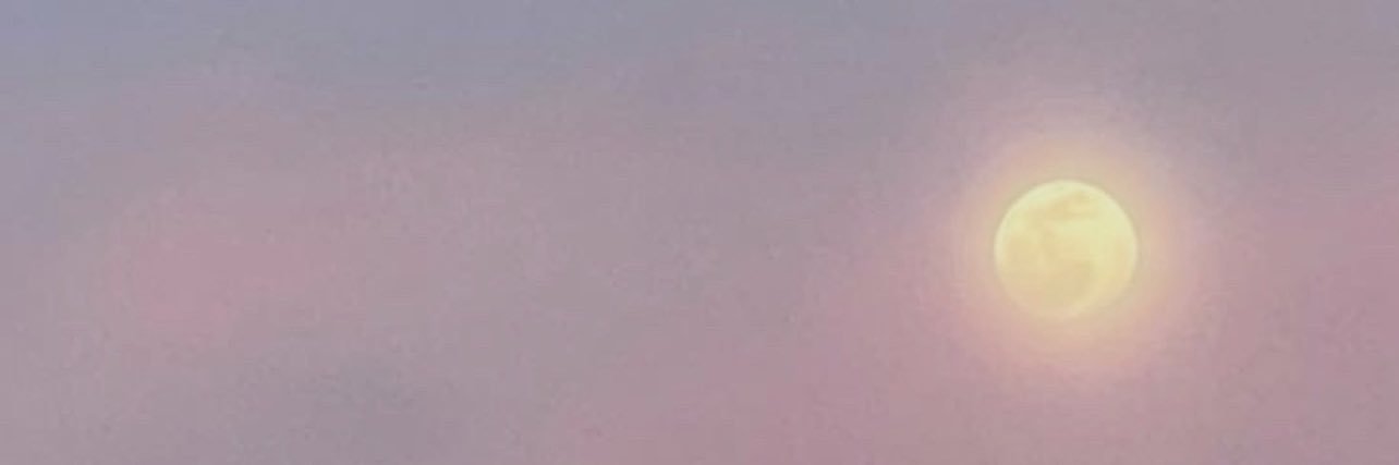 ohgigii's profile banner image