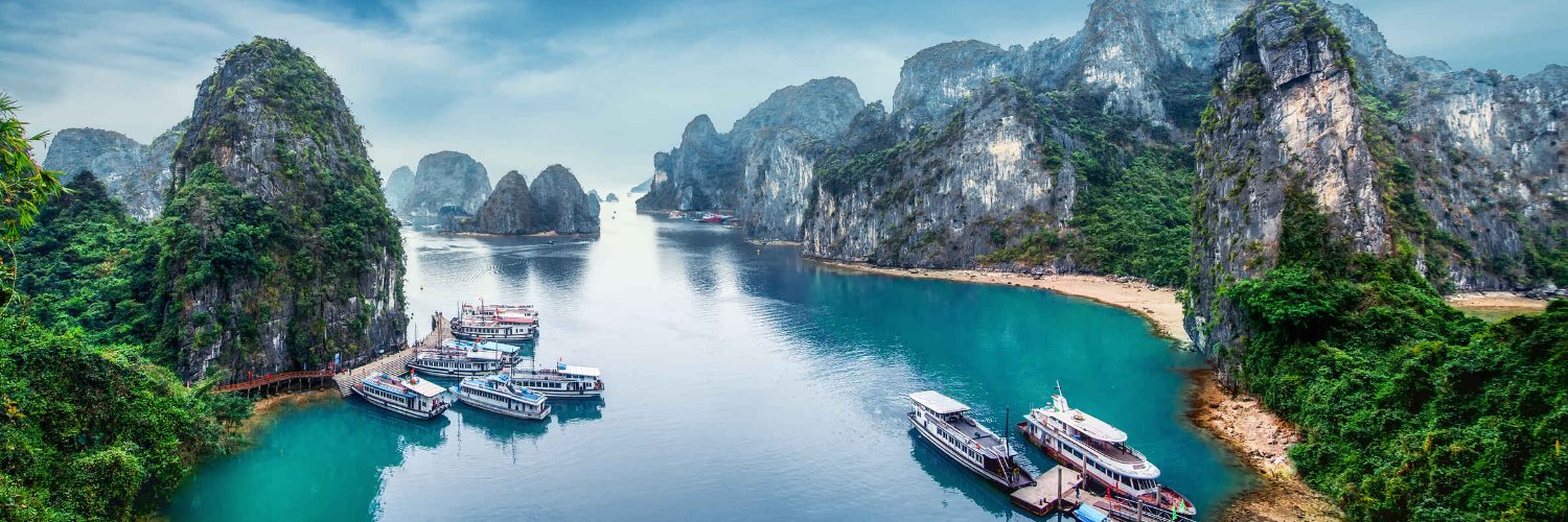 Quentin U 🐉 $MON banner