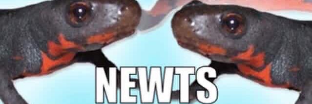 natculv's profile banner image