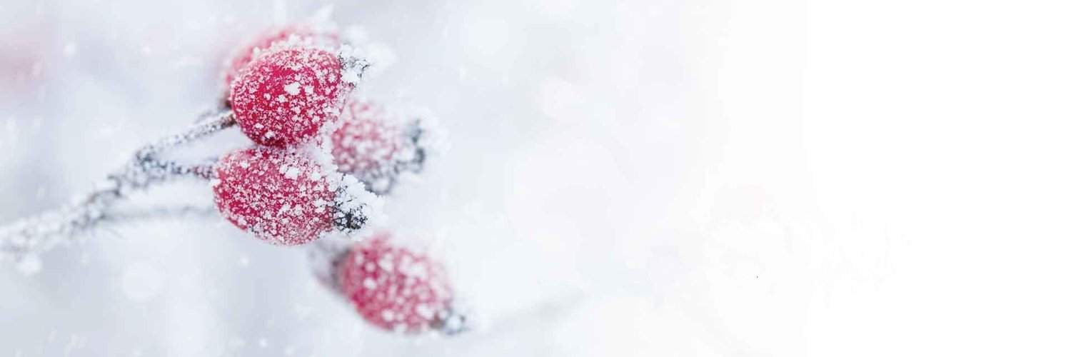 PetiteSpa's profile banner image
