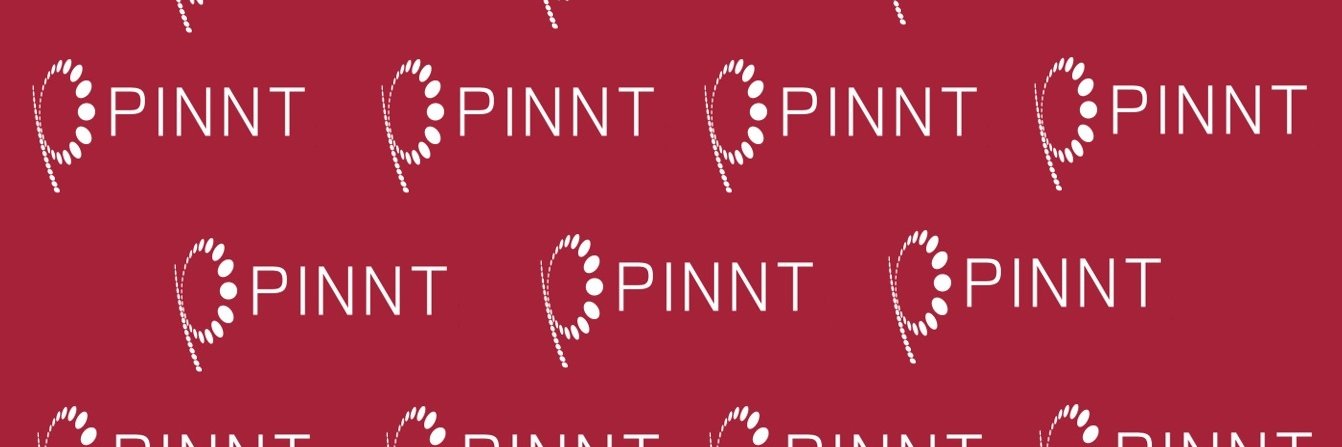 PINNTCharity's profile banner image