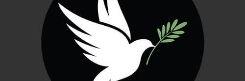 Dr_Pakistani_'s profile banner image
