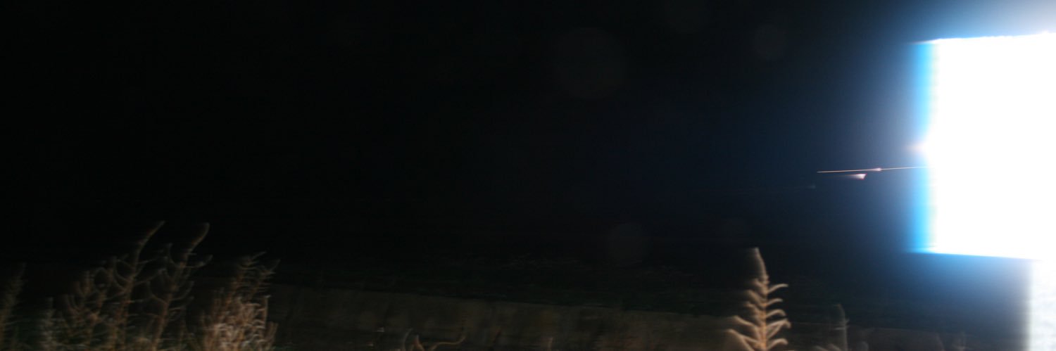 willross__'s profile banner image