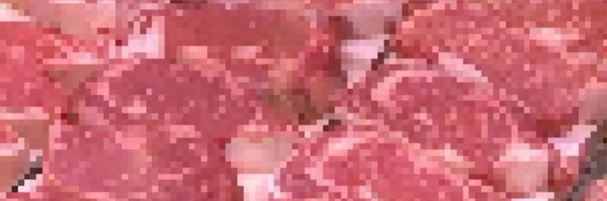 mvttshroom's profile banner image