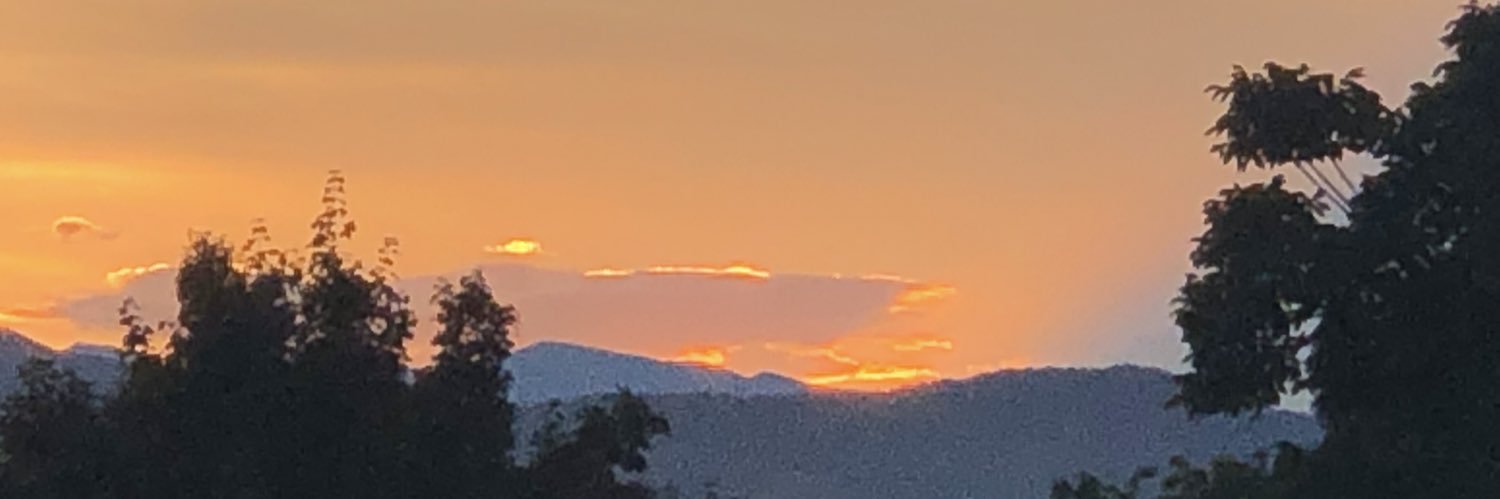 sonjaaburns's profile banner image