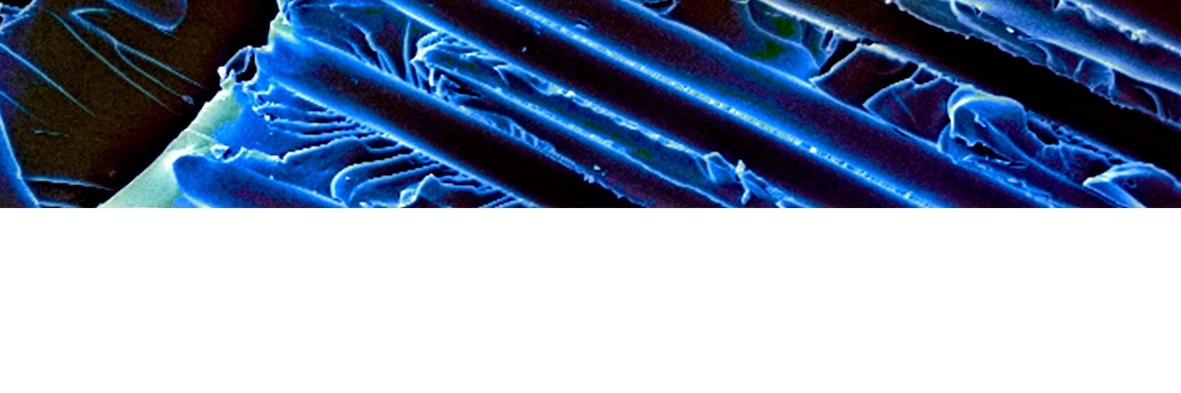 matcomp15's profile banner image