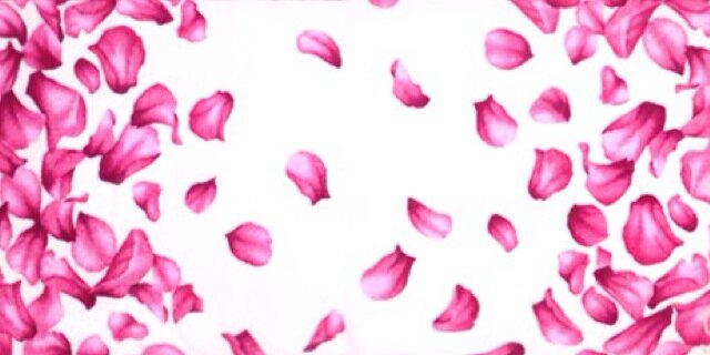 __________1224's profile banner image