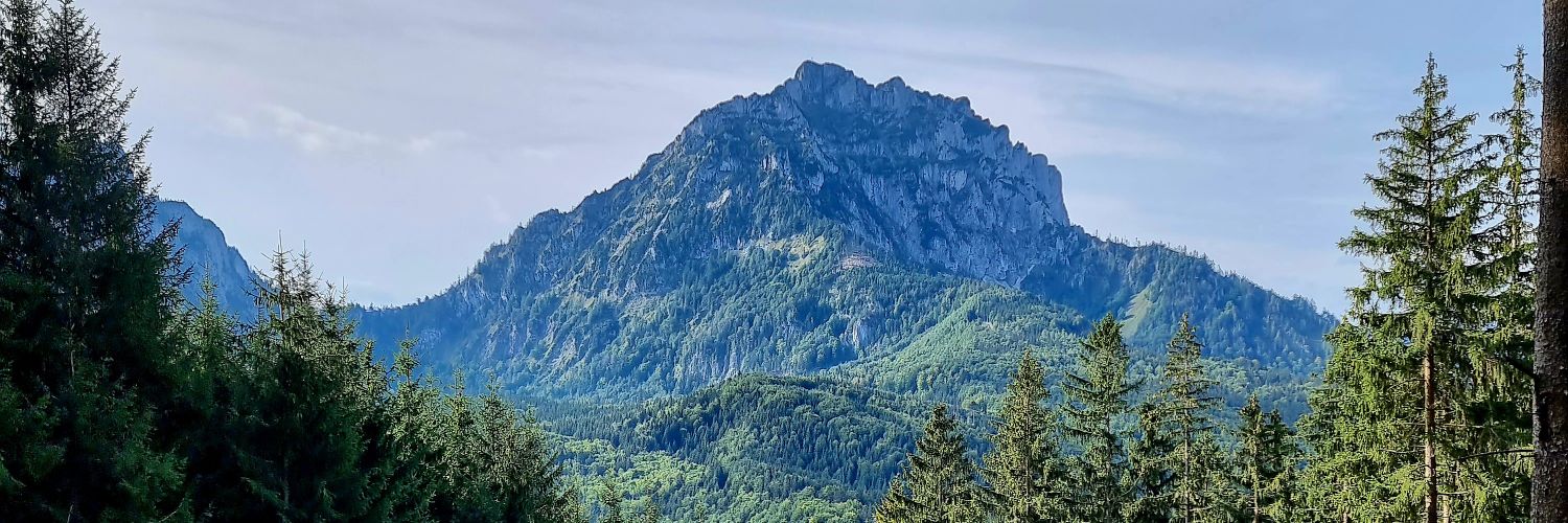 Wencke Hertzsch banner