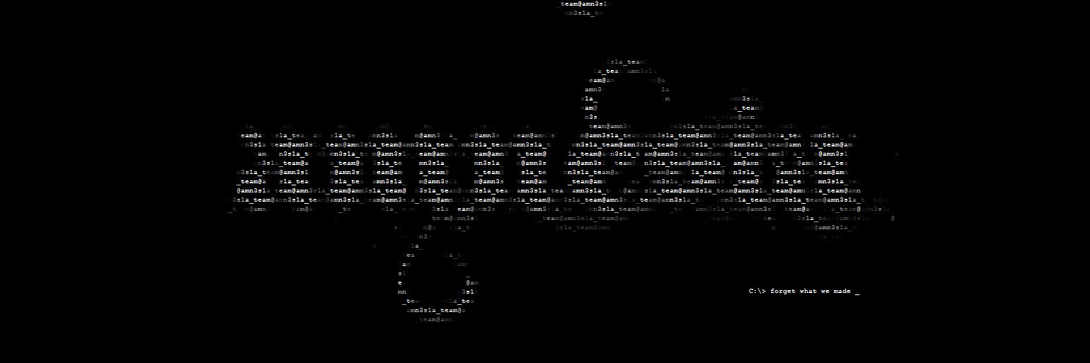 amn3s1a_team's profile banner image