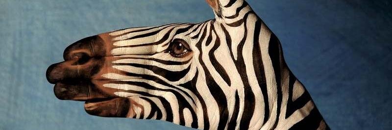 Phyllis DeStefano banner