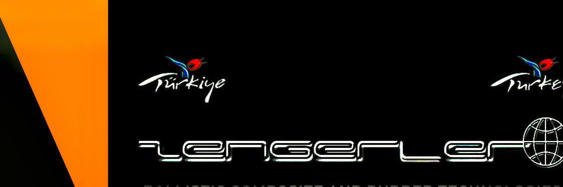 zengerler's profile banner image