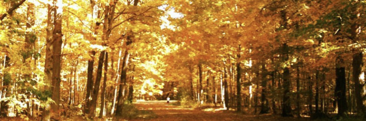 BRR_JennToth's profile banner image