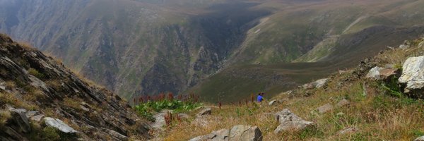 KristineDeScha Profile Banner