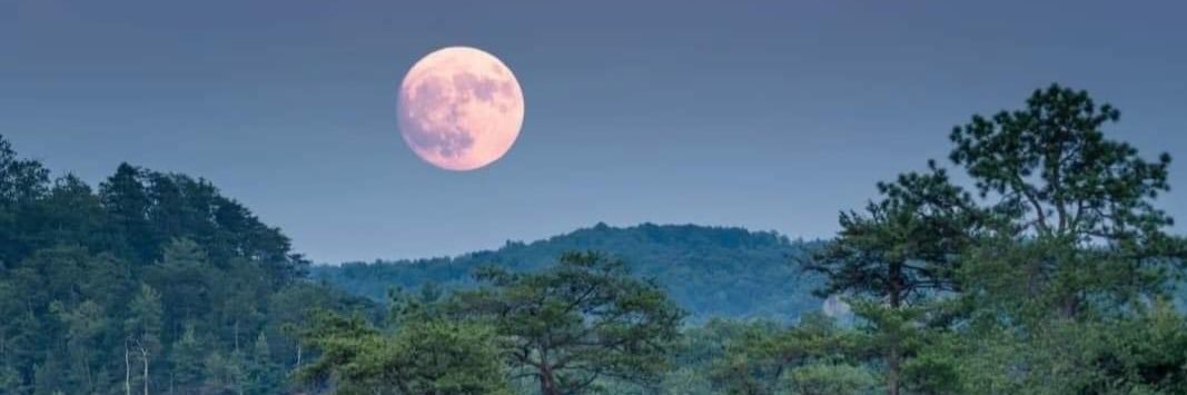 Dr. Jennifer Fraley banner