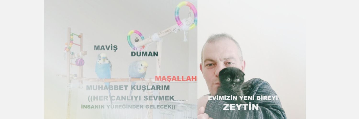 halilsungur66's profile banner image