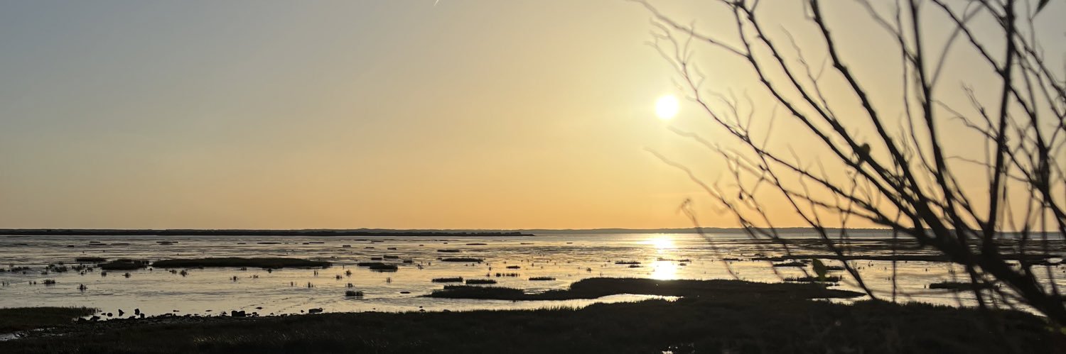 oceanechr's profile banner image
