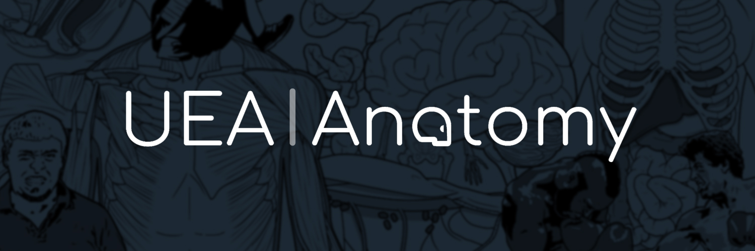 Uea_Anatomy's profile banner image
