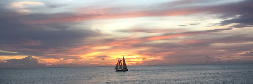 lyssssxs's profile banner image