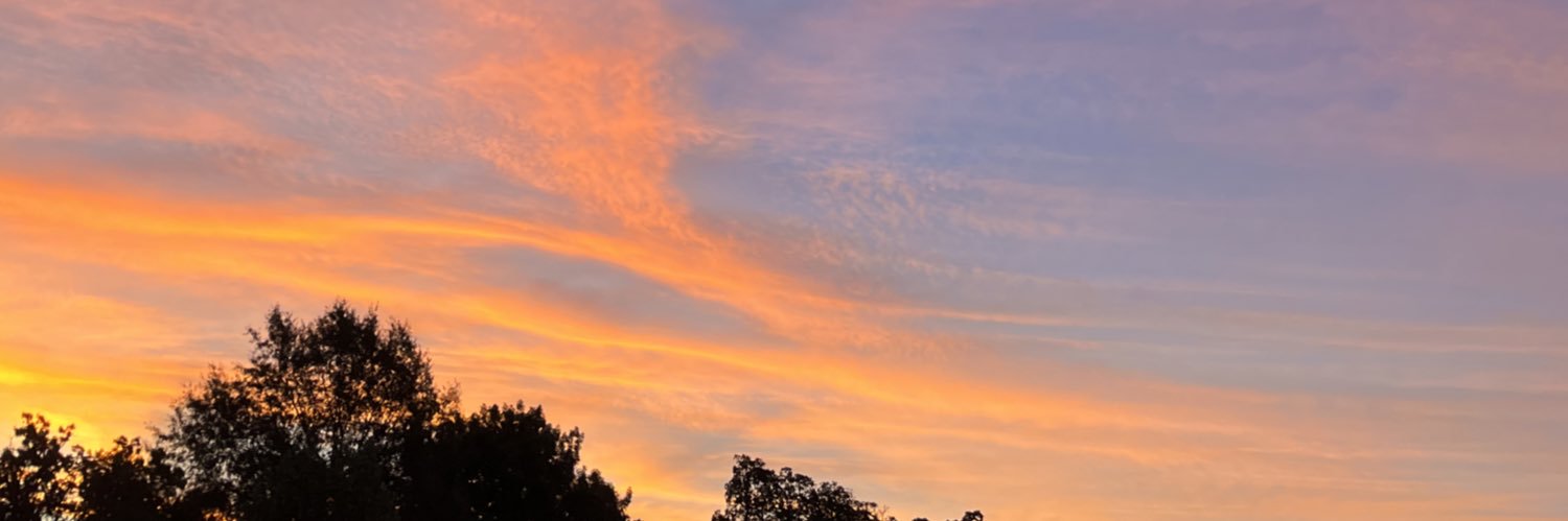 ozarkpetty's profile banner image