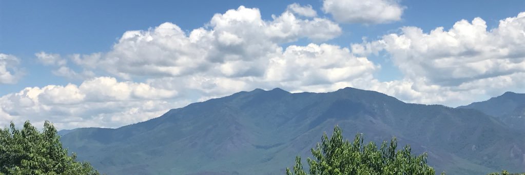 MVollm2's profile banner image