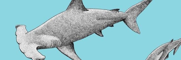 KELSBLAIS's profile banner image