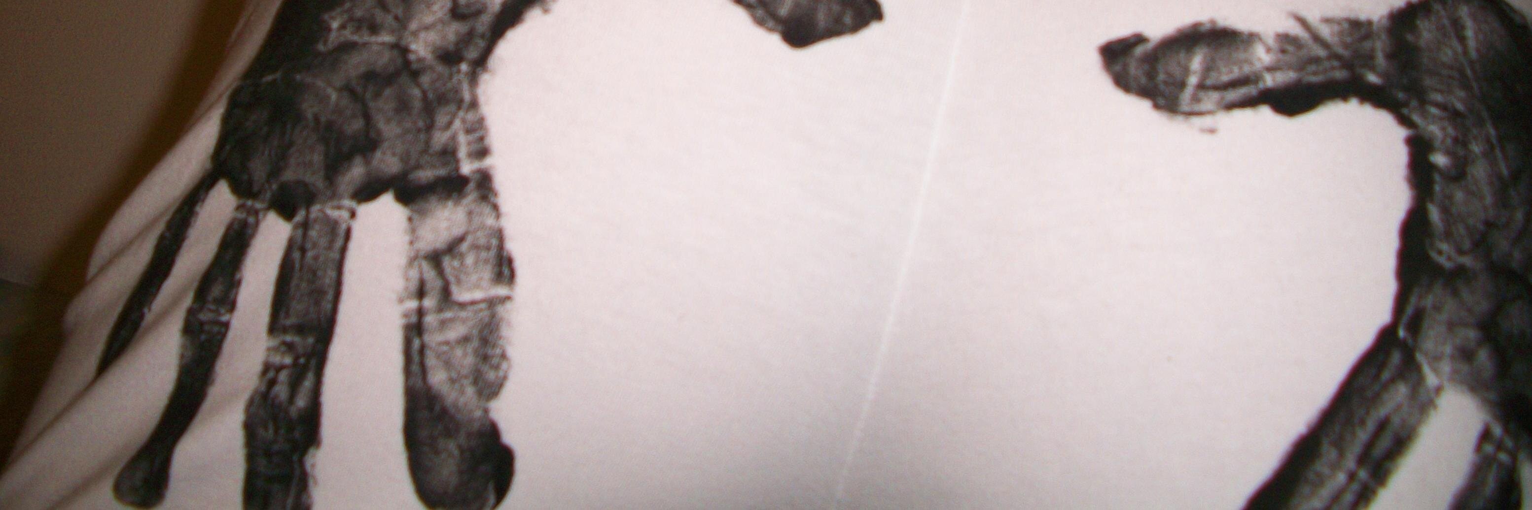 PendejoLindoBi's profile banner image