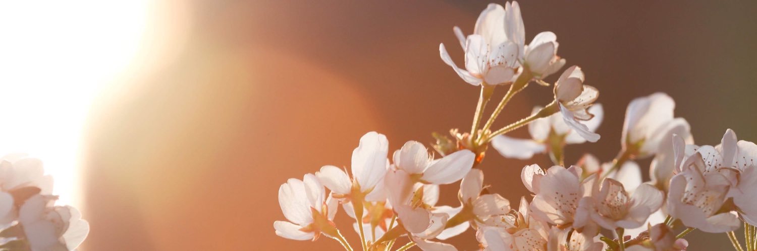 jdunning806's profile banner image