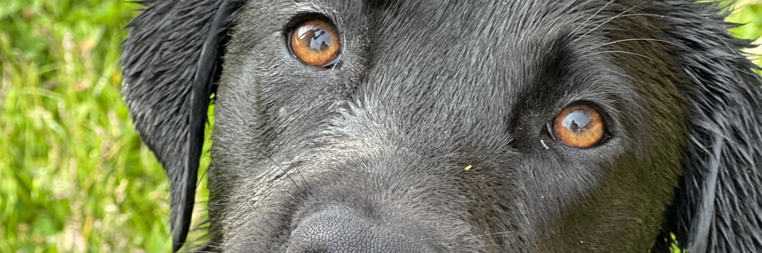 B banner