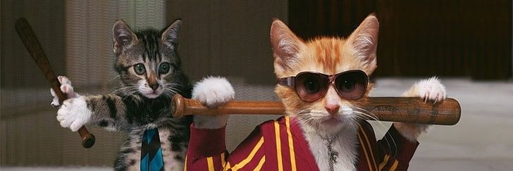 catmante's profile banner image
