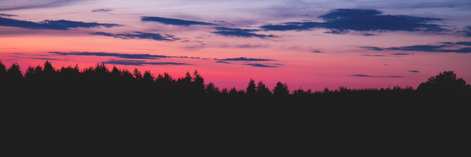 Noah Tran banner