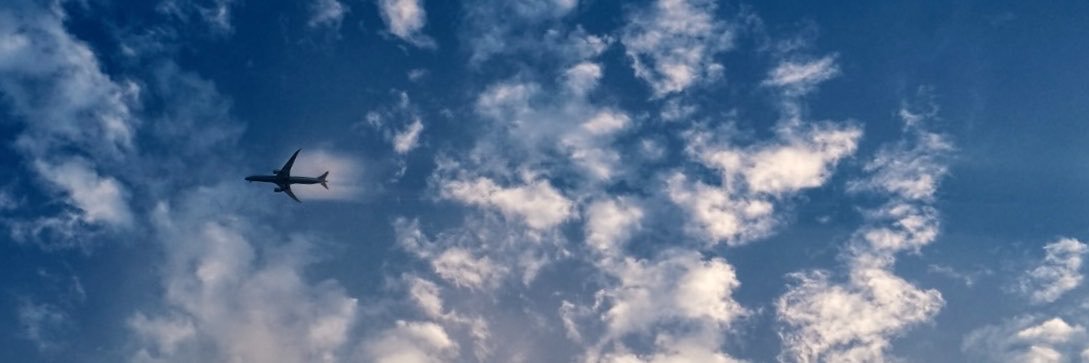 wxYrin's profile banner image