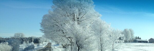 WonderWinter Profile Banner