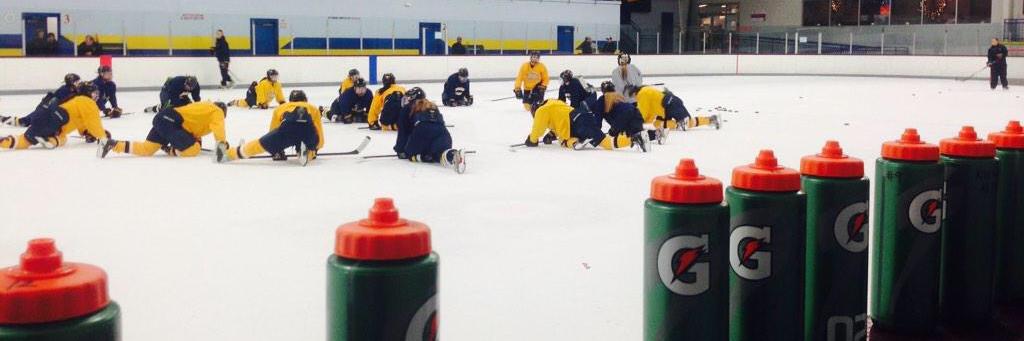 Neumann Women’s Ice Hockey banner