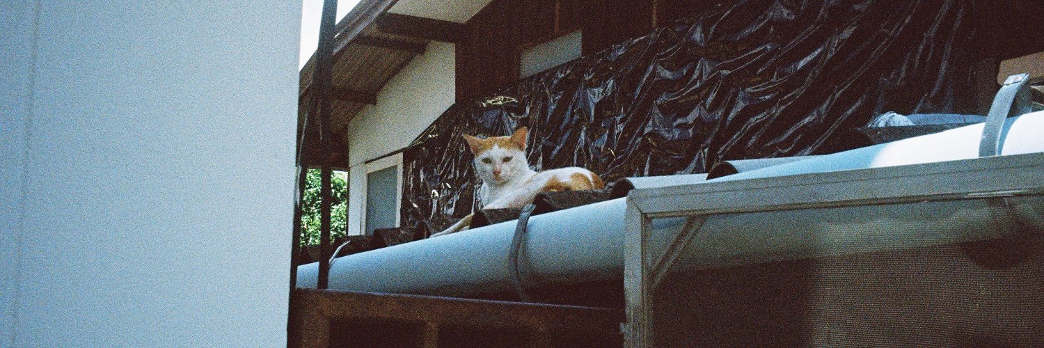 Exploded eyes banner