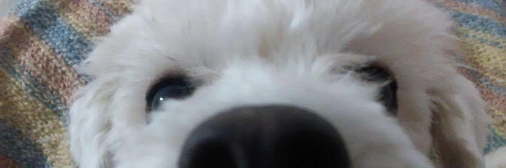 ena035's profile banner image