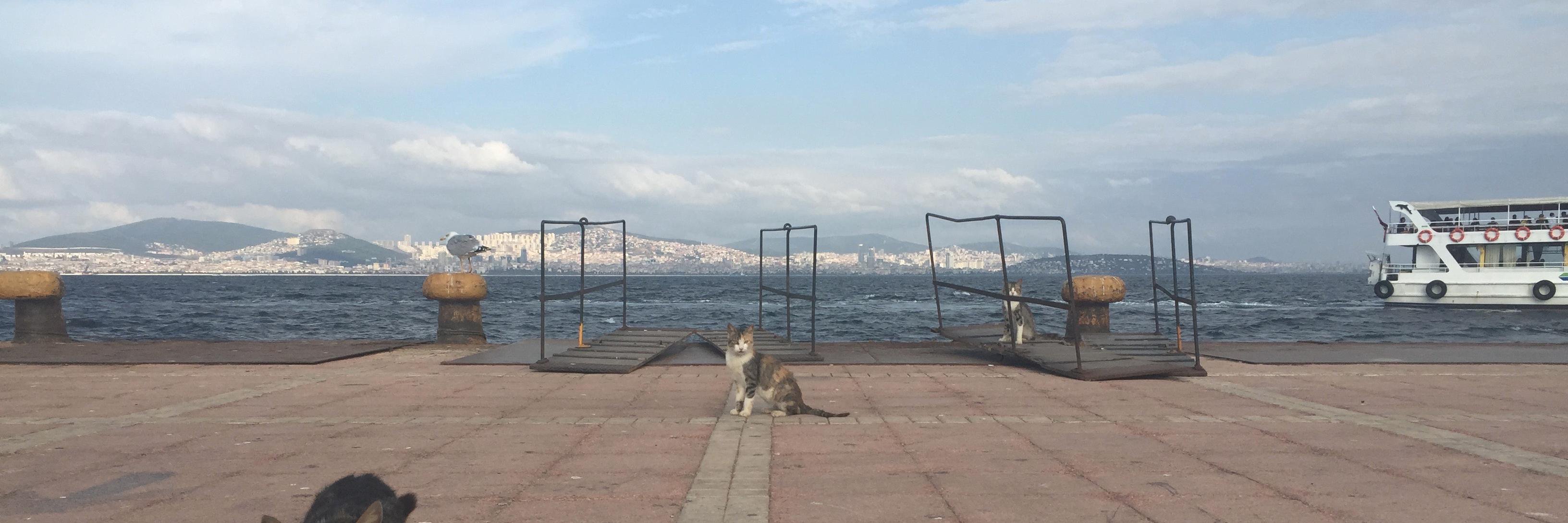 Sebastian Klein banner