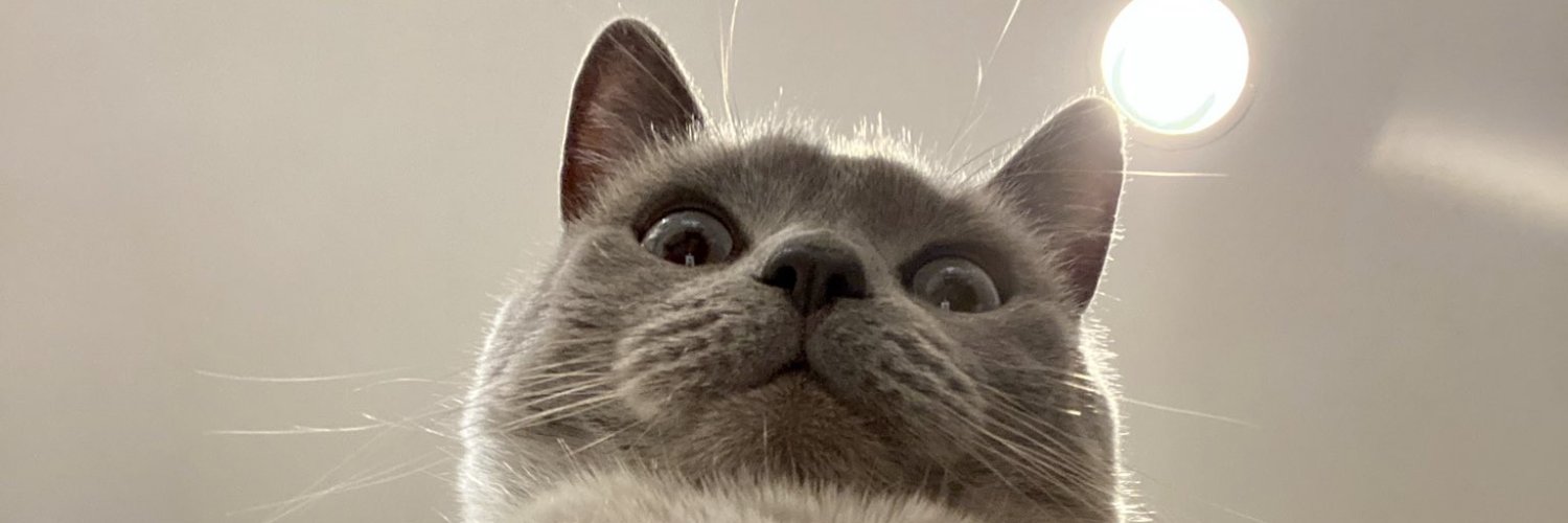 Moon_President's profile banner image