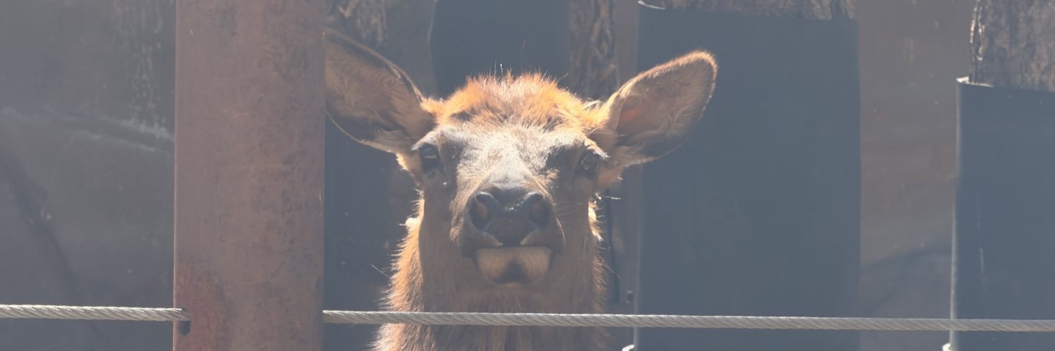 Rubny_'s profile banner image