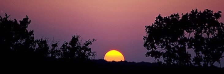 @Barb_Calabrese banner