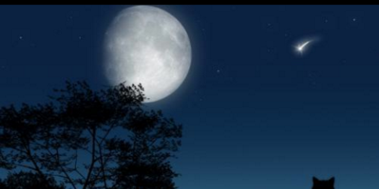 Rakisha93's profile banner image